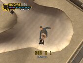 Tony Hawk From THUG 2